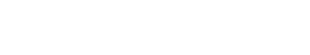 Our Vibrant Community in Action