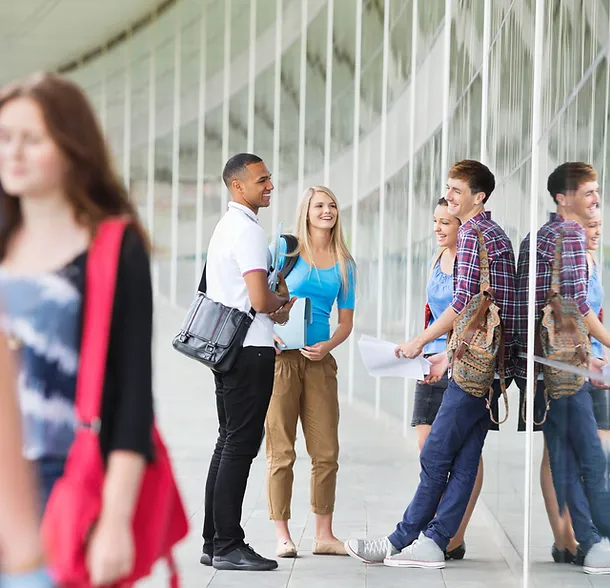 Single Blog APE-EES GUEST TALKS – UNIVERSITY STUDY OPTIONS ABROAD